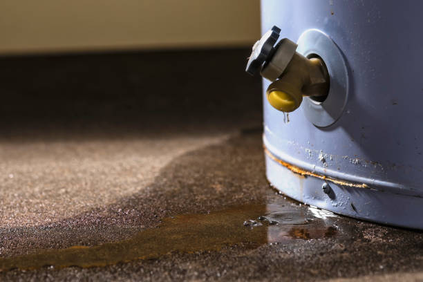Best Local water damage restoration  in Apple Valley, OH