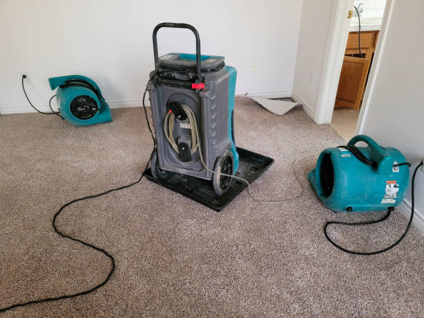 Best 24-hour water damage restoration  in Apple Valley, OH
