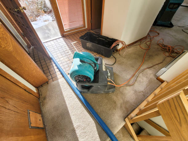 Best Flooded house restoration  in Apple Valley, OH