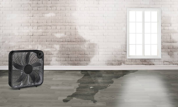 Best Ceiling water damage repair  in Apple Valley, OH