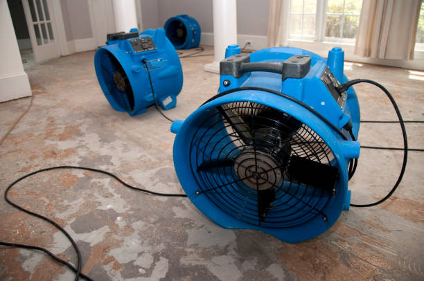 Best Fire Damage Restoration  in Apple Valley, OH