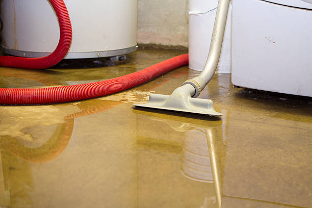 Best Commercial water damage restoration  in Apple Valley, OH