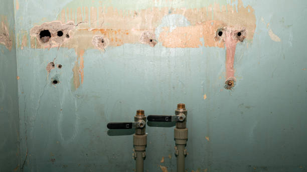 Best Flood restoration services  in Apple Valley, OH