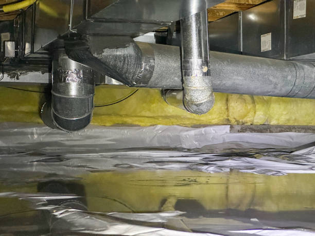 Best Flood damage cleanup  in Apple Valley, OH