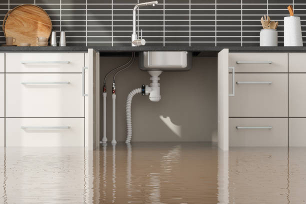 Best Professional water damage repair  in Apple Valley, OH