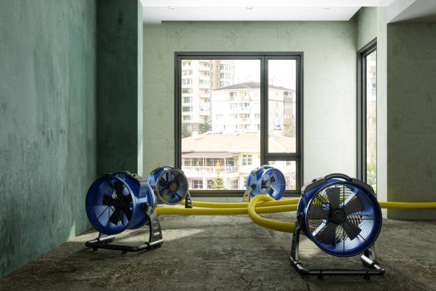 Best Water damage restoration near me  in Apple Valley, OH