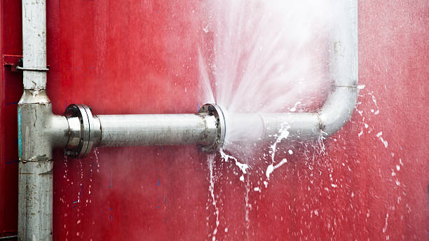 Best Water damage restoration specialists  in Apple Valley, OH