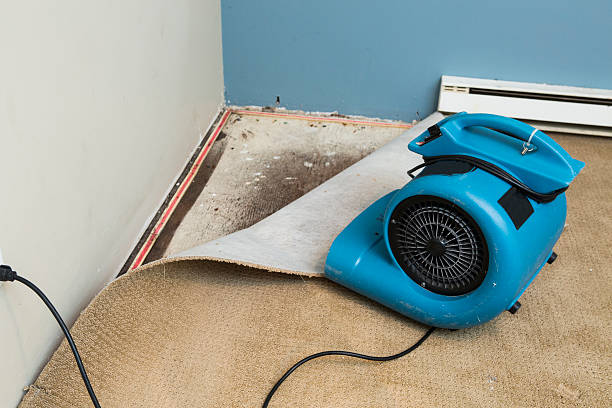 Water damage restoration process in Apple Valley, OH