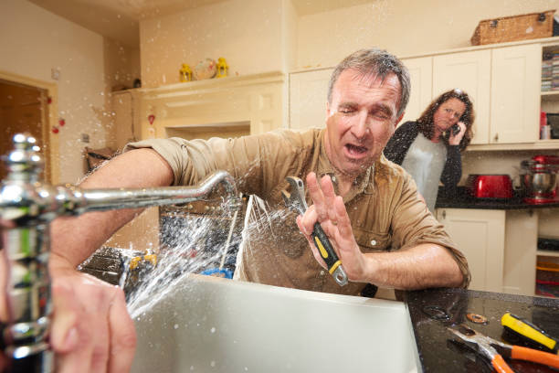Best Water damage contractors near me  in Apple Valley, OH